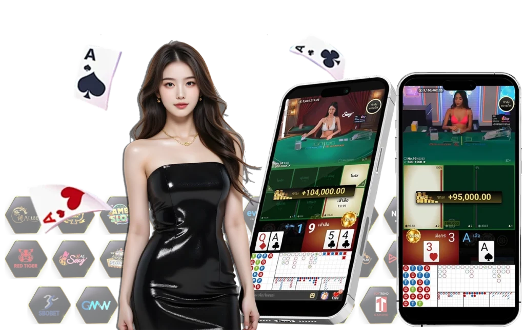 meetang24hr-เว็บตรง